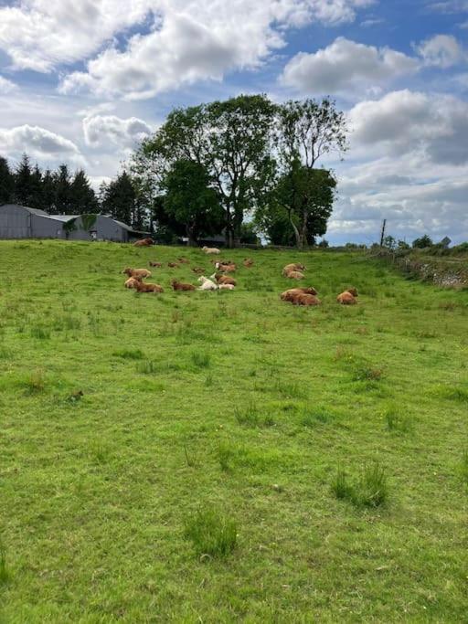 Whitethorn Cottage, Palmfield Ballaghaderreen Exteriör bild
